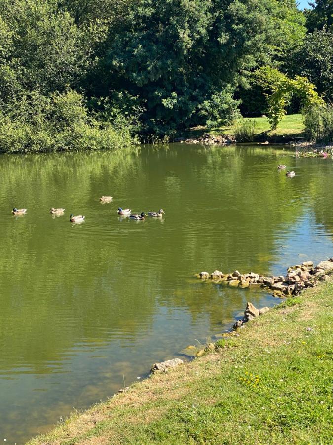 La Fermette Aux Canards Savigny-Levescault